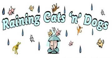 idiom raining cats and dogs