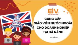 cung cap giao vien nuoc ngoai tại da nang