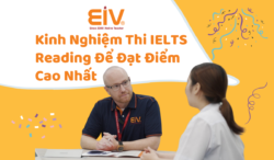 Kinh Nghiệm Thi IELTS Reading Để Đạt Điểm Cao Nhất