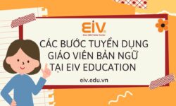 Các bước tuyển dụng giáo viên bản ngữ tại EIV