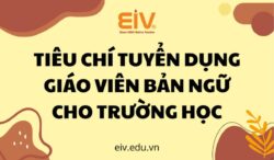 tieu chi tuyen dung giao vien ban ngu cho truong hoc