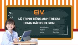 Lộ trình tiếng Anh trẻ em hoàn hảo cho con