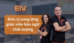don vi cung ung giao vien ban ngu chat luong