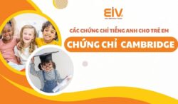 Các Chứng Chỉ Tiếng Anh Cho Trẻ Em – Chứng Chỉ Tiếng Anh Cambridge