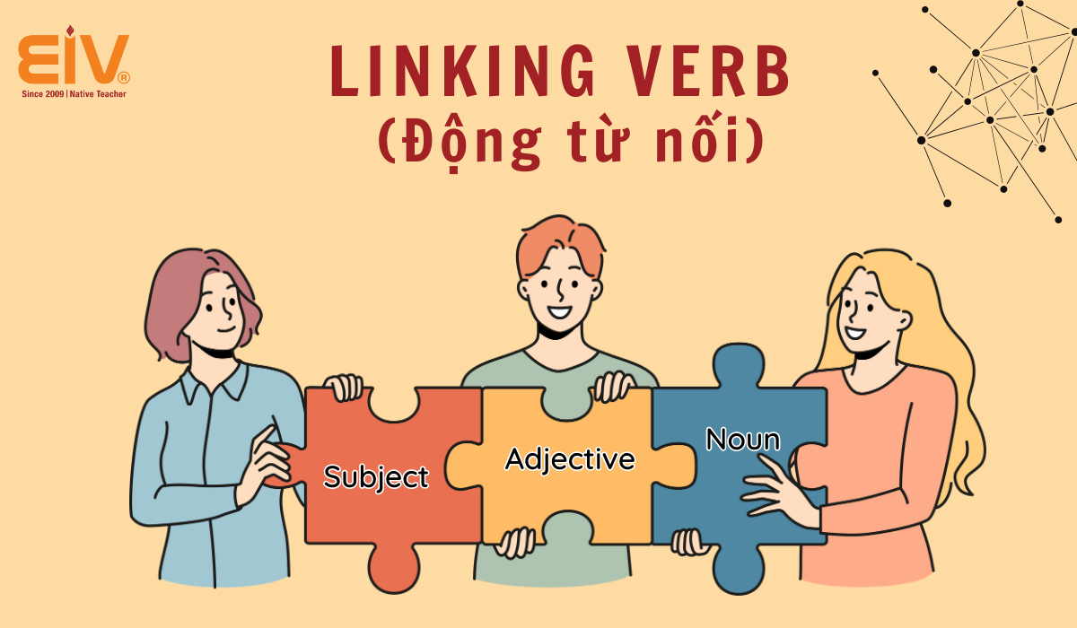 Linking Verb - Động từ nối trong tiếng Anh