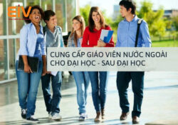Giáo viên bản ngữ cho Khối Đại Học và Sau Đại Học