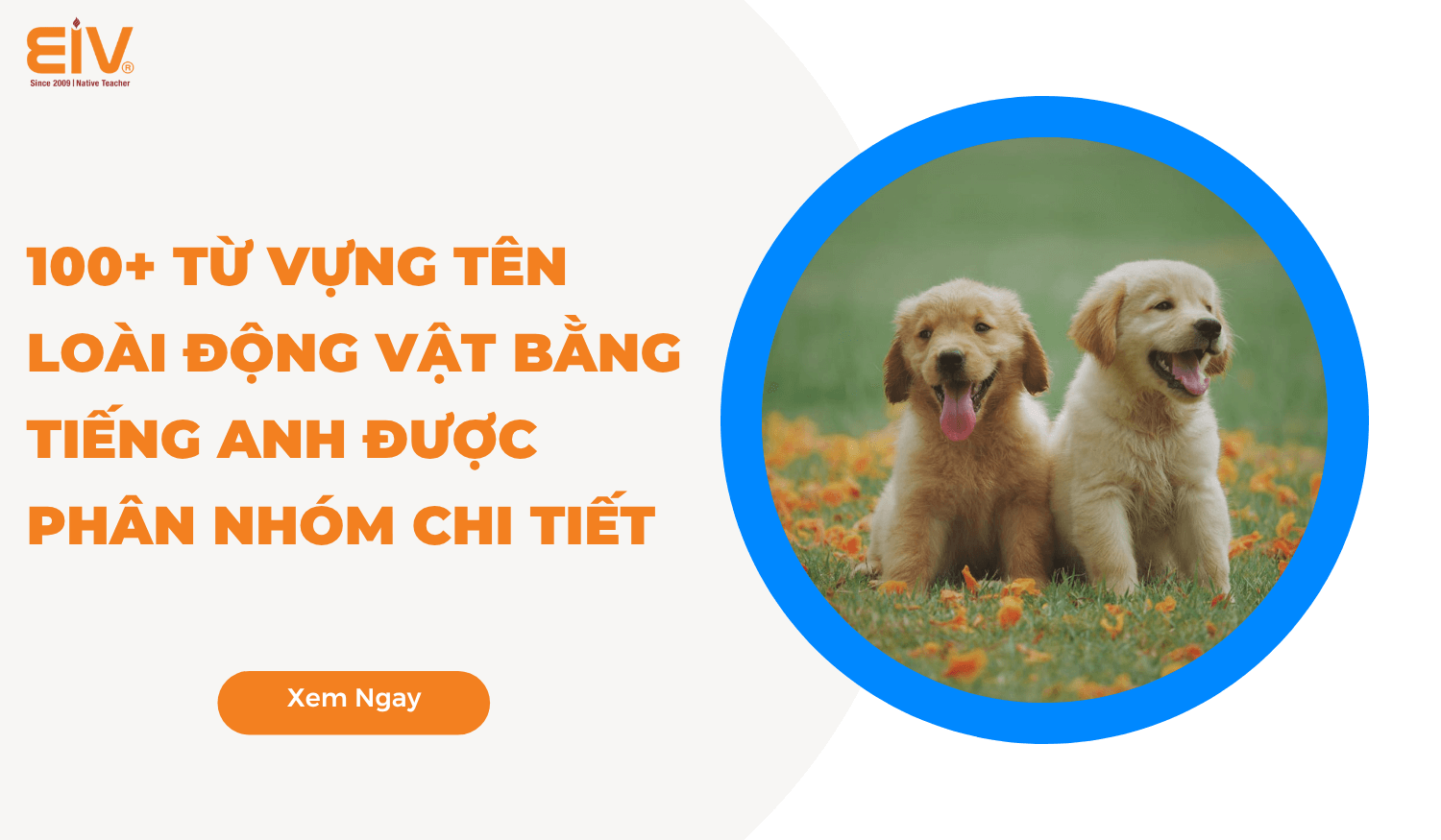 Từ Vựng Tên Loài Động Vật Bằng Tiếng Anh