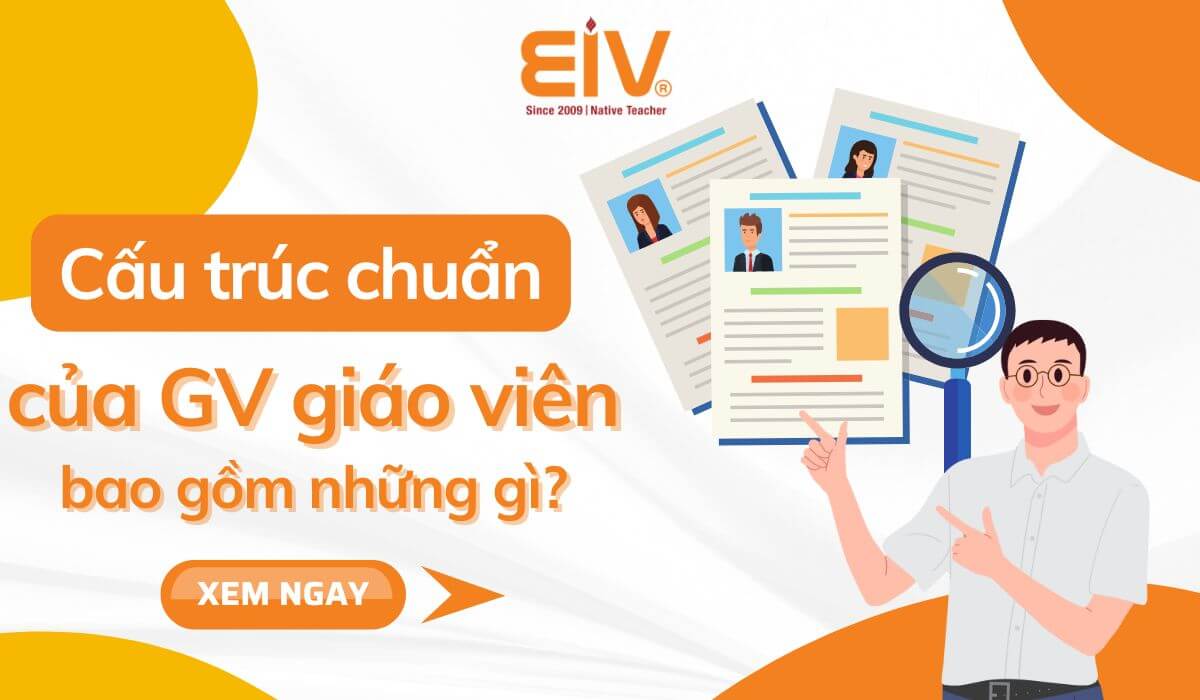 cau-truc-chuan-cv-giao-vien