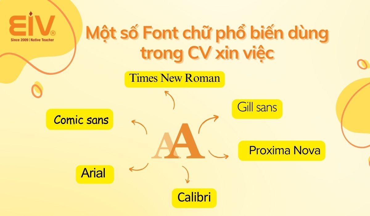 font-chu-pho-bien-trong-CV