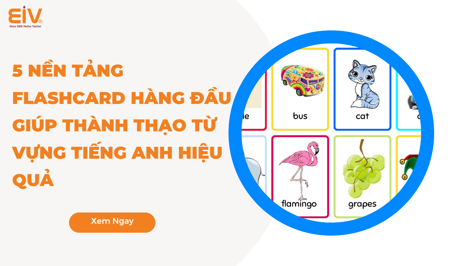 Nền tảng flashcard từ vựng tiếng Anh hiệu quả