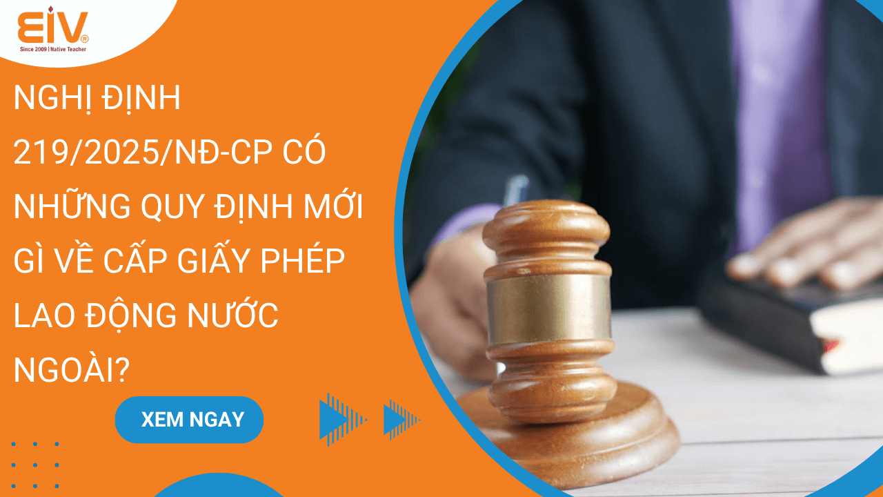 Nghị định 2192025NĐ-CP