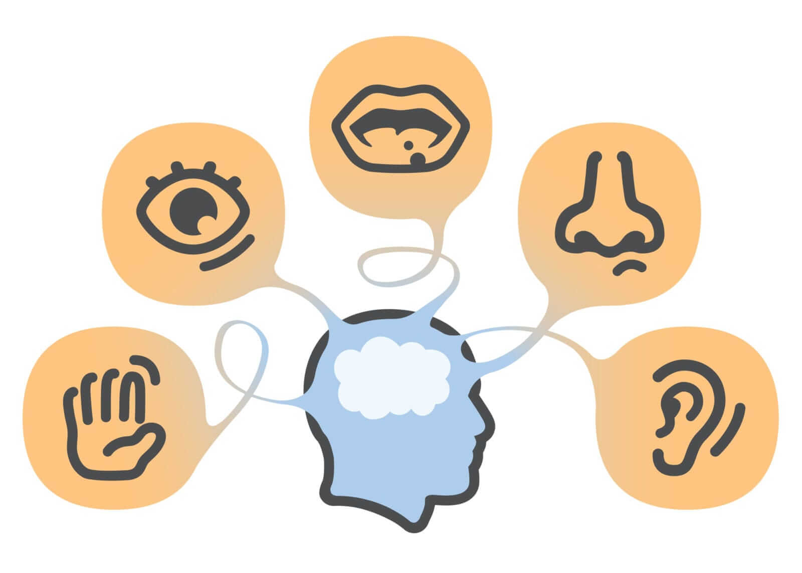 FAQ - Câu hỏi thường gặp về phương pháp học đa giác quan