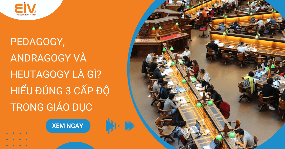 Pedagogy Andragogy và Heutagogy là gì
