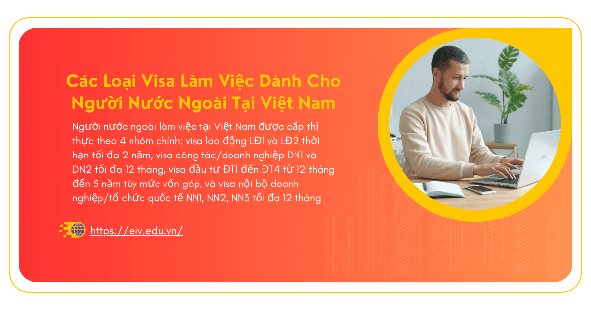 Các Loại Visa Làm Việc Dành Cho Người Nước Ngoài